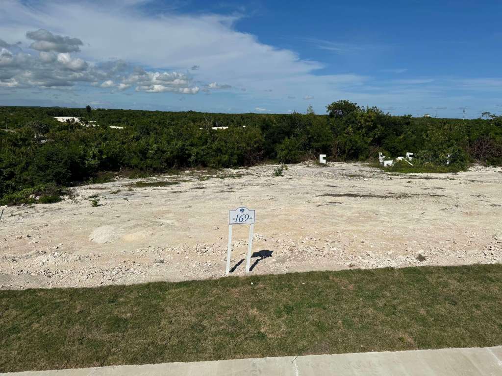 Land for Sale Cap Cana Sheyla and Wellington Real Estate Investments