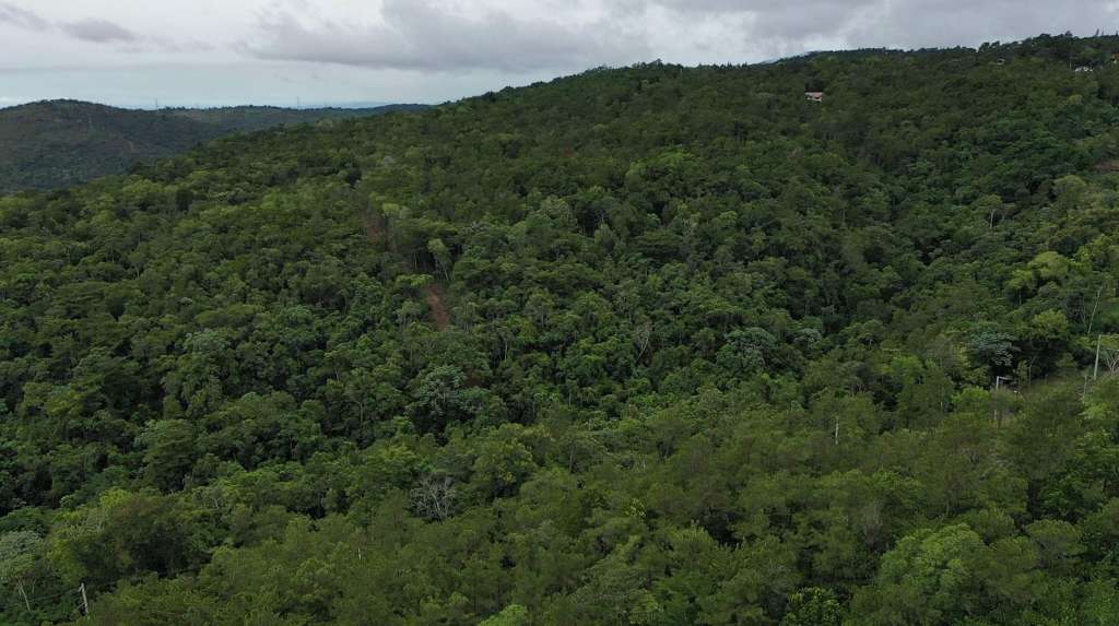 Land for Sale Jarabacoa Sheyla and Wellington Real Estate Investments